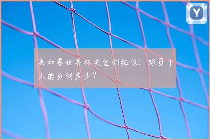 美加墨世界杯奖金创纪录：球员个人能分到多少？