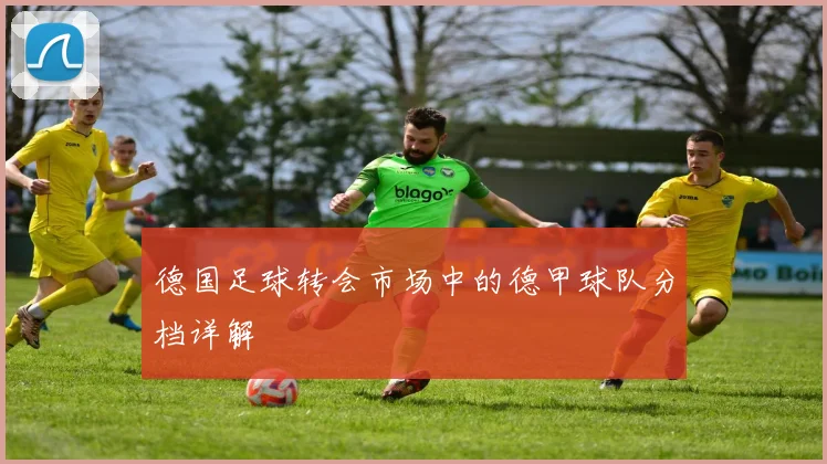 德国足球转会市场中的德甲球队分档详解